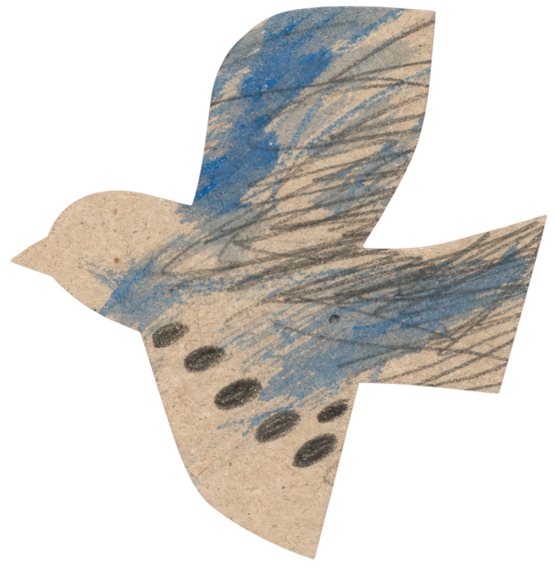 birdy2